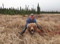 Bear1.jpg Bear1.jpg