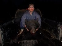 bear3.jpg bear3.jpg