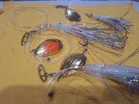 20250220_085808.JPG