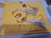 20250220_085759.JPG