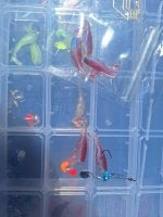 20250614_151338.JPG